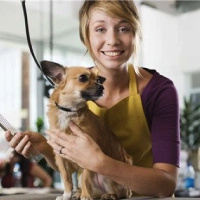 Emma GAUDIN - Toiletteuse de chiens et chats